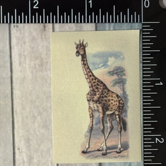 🌀10/$10🌀 Classic Grassland Animals Reusable Washi Sticker Decal - Picture 1 of 1